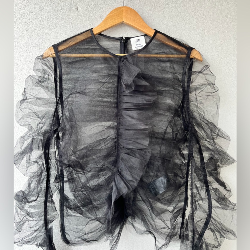 H&M Black Sheer Ruffle Blouse - Picture 6 of 16